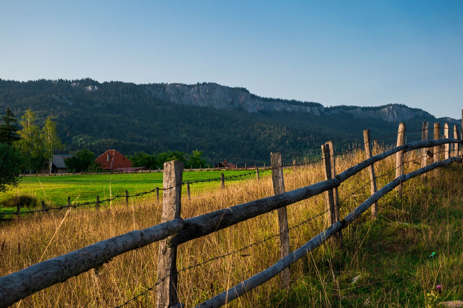 USDA rural development: No down payment in eligible tracts outside the metro core.